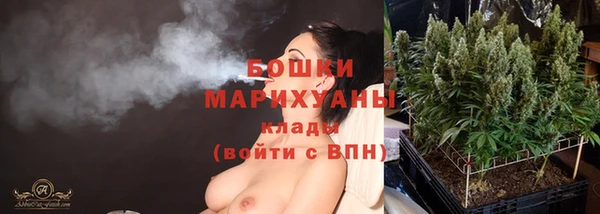 метадон Инта