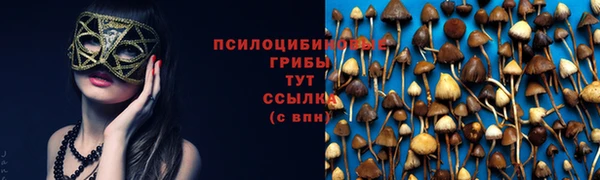 гидропоника Иннополис