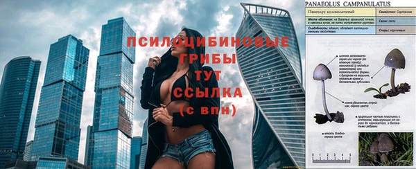 прущий лед Каменка