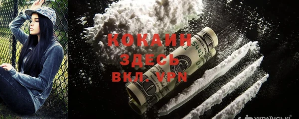 метадон Инта