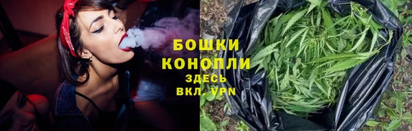 гидропоника Иннополис