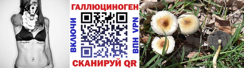 Псилоцибиновые грибы прущие грибы Купить где Грязовец